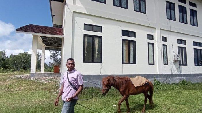 Sefanya Sairiltiata, dosen Program Studi di Luar Kampus Utama (PSDKU) Universitas Pattimura Kabupaten Maluku Barat Daya, ke kampus tunggangi kuda lantaran BBM langka lebih dari sepekan