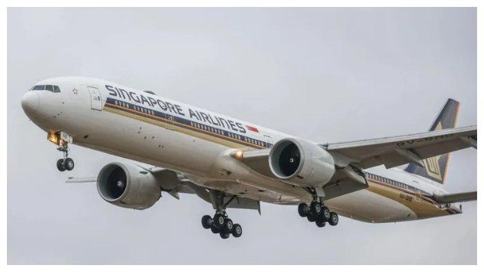 Penumpang pesawat Singapore Airlines yang selamat pasca kejadian turbulensi hebat telah tiba di Singapura pada Rabu (22/5/2024) pagi.