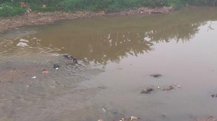 Sosok 7 Mayat Mengambang di Kali Bekasi, Diduga Remaja Tawuran, Identitas Terungkap