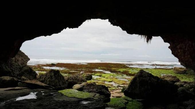 Pantai Nglolang jarang dikunjungi oleh wisatawan, maka tak heran jika pantai ini masih sepi pengunjung