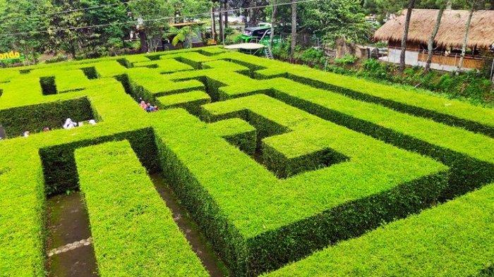 Taman labirin di Coban Rondo