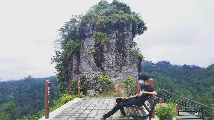 Puncak Widosari cocok digunakan sebagai tempat healing dan menikmati udara segar.