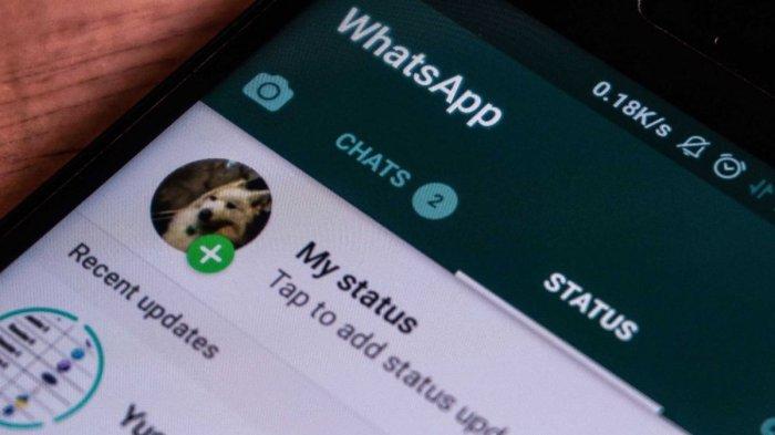 Berikut cara mengunduh story di WhatsApp