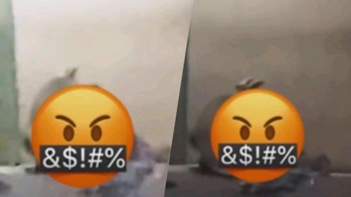 Viral Pasangan di Bandung Berbuat Mesum di Pinggir Jalan, Aksinya Terekam Pengendara Lewat