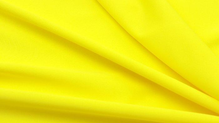 Xanthophobia (Fobia Warna Kuning)