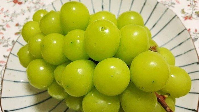 ilustrasi anggur muscat