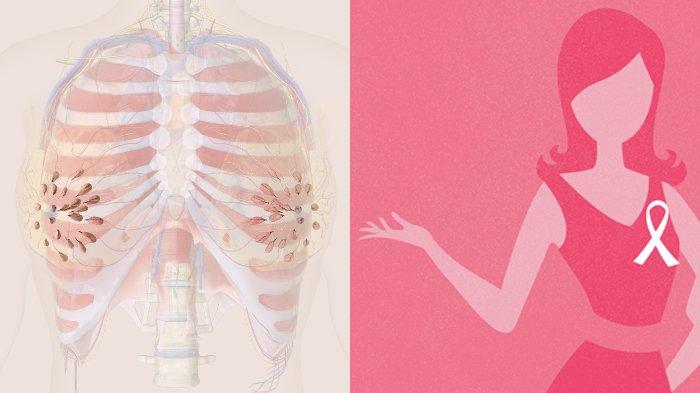 Mengenal Kanker Payudara, Penyakit yang Diderita Puput Novel Sang Artis Cilik Top Sejak 1970-an