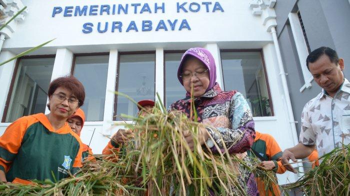 Tri Rismaharini 5