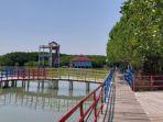 Hutan Mangrove Pandansari: Lokasi, Daya Tarik, Fasilitas, Harga Tiket, Jam Buka Terbaru 2025