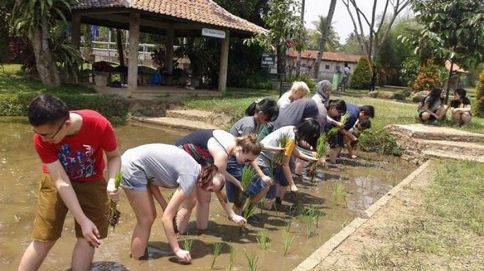 Kampoeng Wisata Cinangneng di Jalan Babakan Kemang, Cihideung Udik, Ciampea, Bogor, menjadi pelopor wisata edukasi ke desa-desa. 