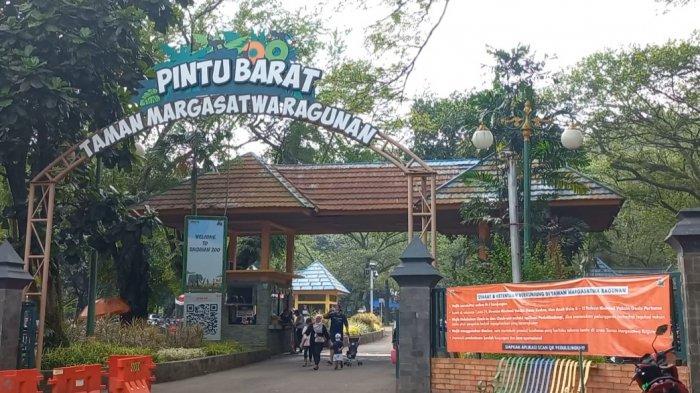Wisata Jakarta: Taman Margasatwa Ragunan Tetap Buka Libur Tahun Baru ...