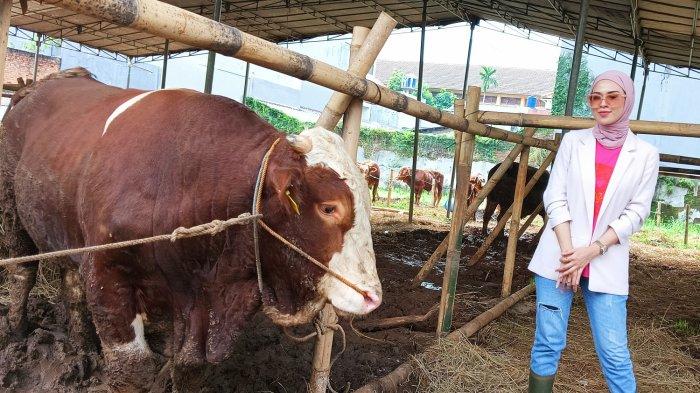 Sudah Jual Hewan Kurban 3 Tahun, Delia Septianti Sedih Lihat Sapi yang