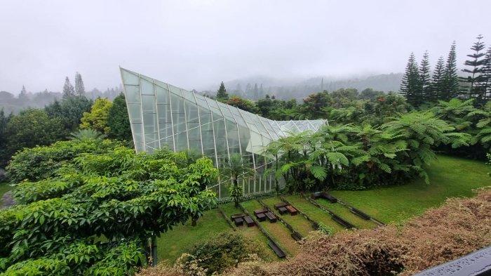 Glass Pavilion, yakni bangunan kaca berbentuk segitiga menjadi spot ikonik di Amaryllis Boutique Resort, Cisarua, Puncak, Bogor. Tempat ini biasa dijadikan sebagai tempat untuk menyelenggarakan private wedding.