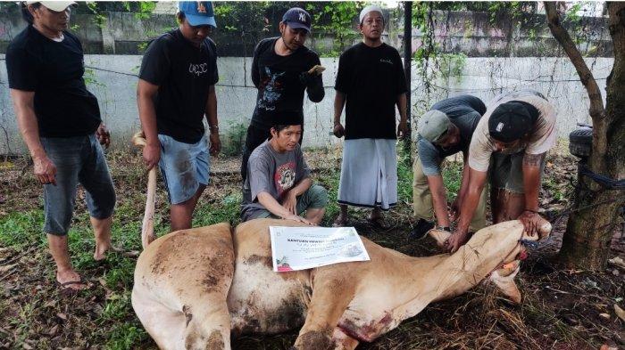 Ketua Jurnalis Indonesia Peduli (JIP), Abdul Rosyid secara simbolis menyerahkan hewan kurban dari PT Pertamina Retail di Taman Pemuda Pratama, Tanah Baru, Beji, Kota Depok pada Selasa (18/6/2024).