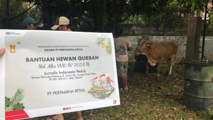Ketua Jurnalis Indonesia Peduli (JIP), Abdul Rosyid secara simbolis menyerahkan hewan kurban dari PT Pertamina Retail di Taman Pemuda Pratama, Tanah Baru, Beji, Kota Depok pada Selasa (18/6/2024).