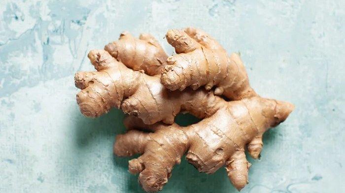 Manfaat Jahe buat kesehatan tubuh