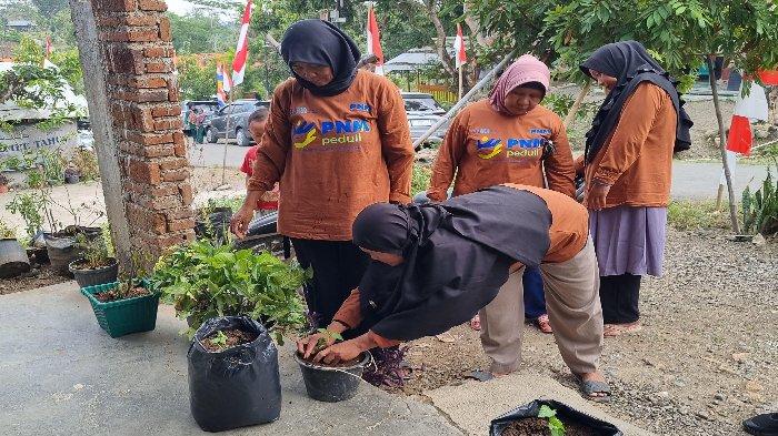 PT Permodalan Nasional Madani (PNM) memberikan bantuan 1.500 bibit cabai bagi warga Desa Darmasuci, Kecamatan Pangkah, Kabupaten Tegal.