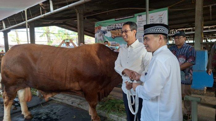 Tinjau RPH Dharma Jaya, Pj Gubernur DKI Salurkan 621 Sapi Kurban ke ...