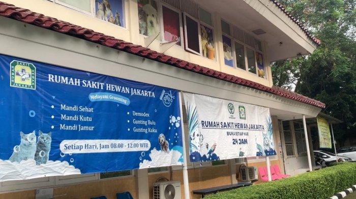RS HEWAN JAKARTA - Rumah Sakit (RS) Hewan Jakarta yang berada di Jalan Harsono RM Belakang No 28, Ragunan, Pasar Minggu, Jakarta Selatan. Diketahui, Rumah Sakit Hewan Jakarta merupakan rumah sakit hewan swasta pertama di Indonesia.