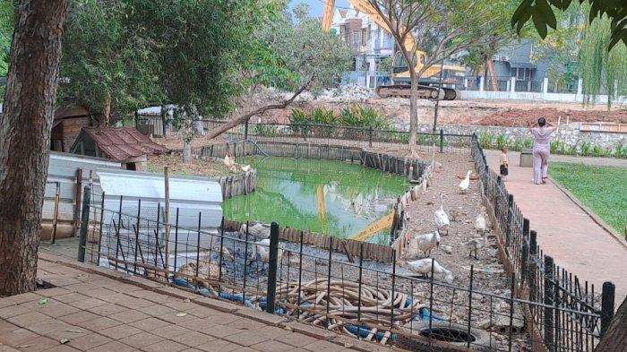 Suasana taman jalur hijau Duri Kosambi, Cengkareng, Jakarta Barat pada Sabtu (14/9/2024).