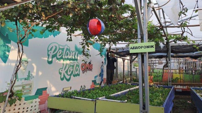 Suasana urban farming di GSG 07 Kembangan Utara, Jakarta Barat.