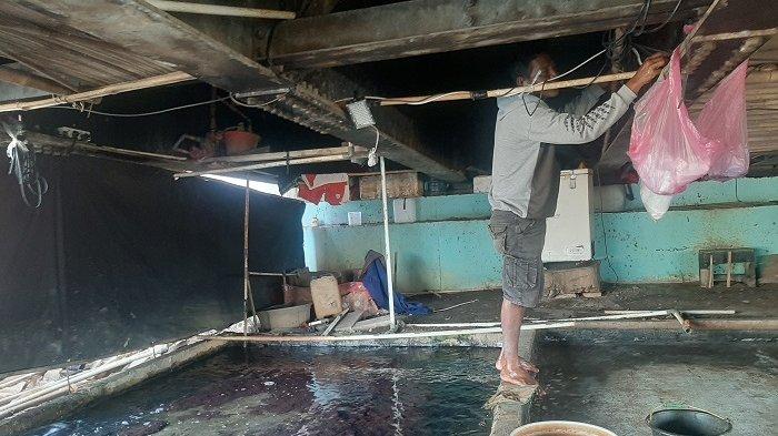 Ilustrasi - Warga miskin tinggal di kolong jembatan.