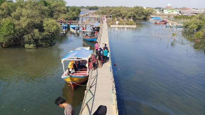 Kawasan Hutan Mangrove dekat proyek PLTU Muara Tawar di Desa Segarajaya, Tarumajaya, Kabupaten Bekasi. 