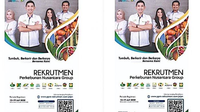 Lowongan Kerja di PT Perkebunan Nusantara Kirim Lamaran Paling Lambat