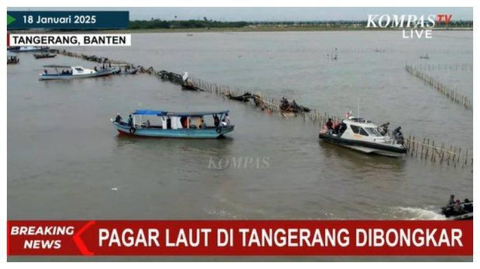 Pagar laut misterius sepanjang 30,16 Km di Kabupaten Tangerang dibongkar, dipimpin oleh TNI AL dan dibantu sejumlah nelayan, Sabtu (18/1/2025).
