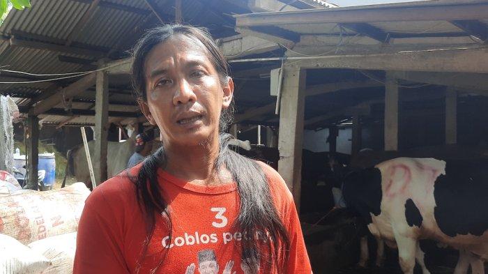 Burhan pemilik peternakan sapi di Jalan Cikoko Barat III RW 05, Kelurahan Kelurahan Cikoko, Kecamatan Pancoran, Jakarta Selatan dikomplain warga