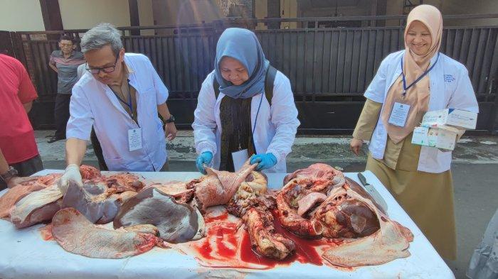 Suku Dinas Ketahanan Pangan, Kelautan, dan Perikanan (KPKP) Jakarta Timur saat melakukan pemeriksaan hewan kurban pada penyembelihan Hari Raya Idul Adha 1445 Hijriah di Masjid Al Hidayah Klender, Jakarta Timur, Senin (17/6/2024).