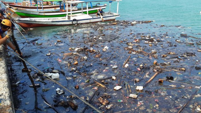 Petugas Pesisir Pantai Bersihkan Tumpahan Minyak Mentah di Pulau Tidung