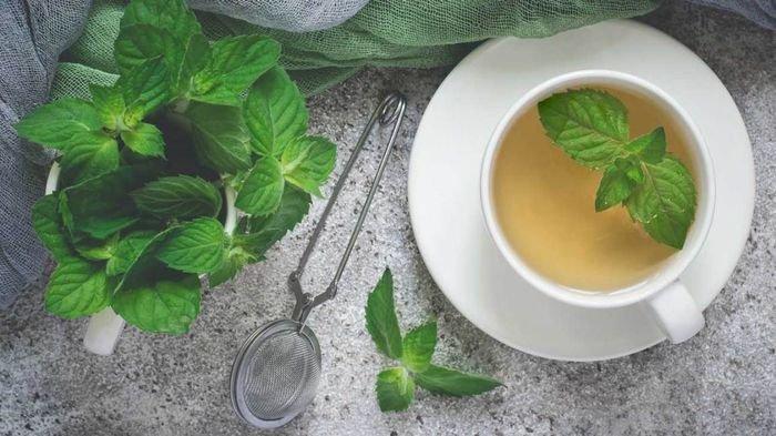 Ilustrasi teh daun mint