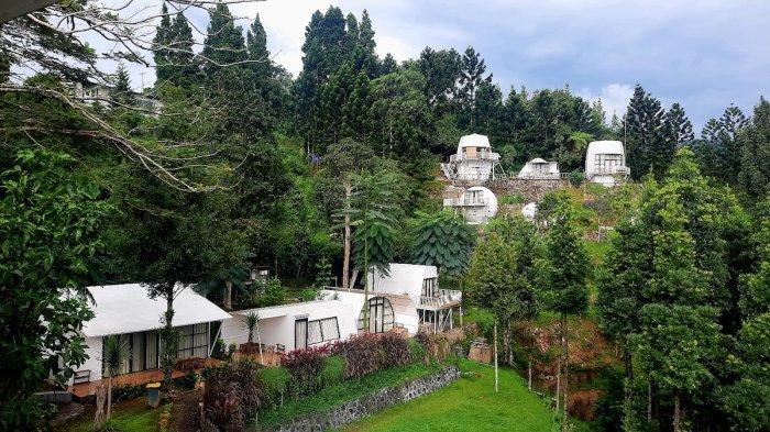 WISATA PUNCAK BOGOR - Menikmati kopi senja sambil melihat pemandangan Gunung Pangrango dari Luxecamp Bukit Damar Puncak berlokasi di Jalan Cipendawa No.92, Kecamatan Megamendung, Kabupaten Bogor, Jawa Barat, Jumat (14/2/2025).