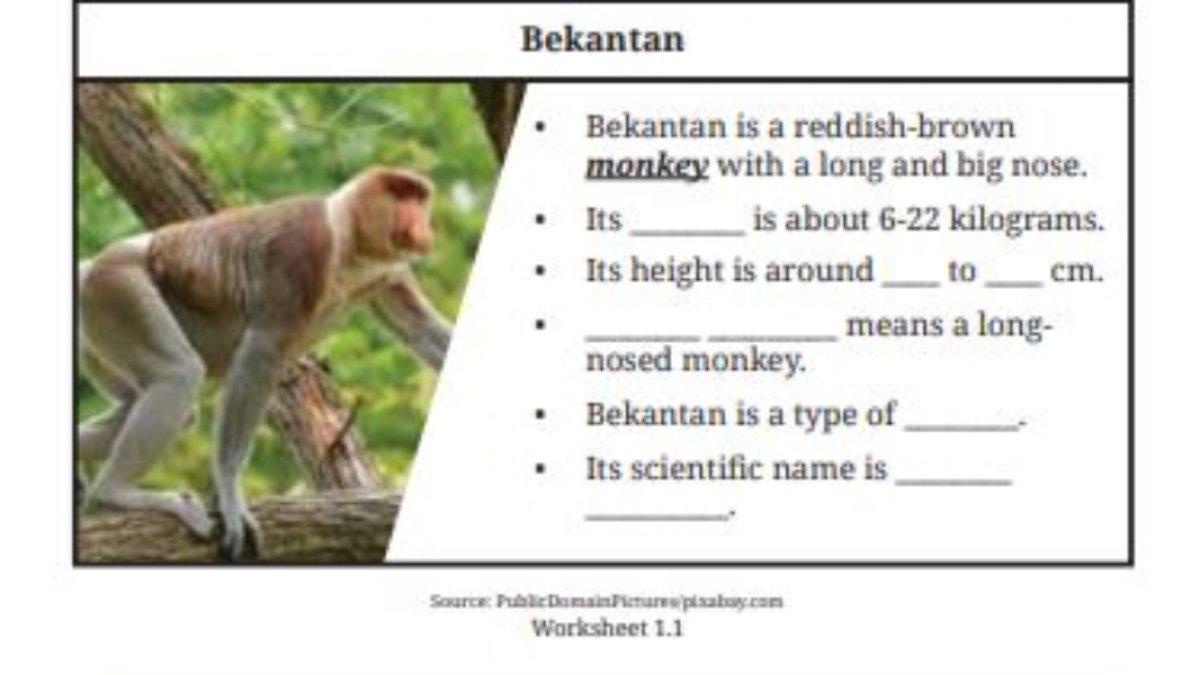 Worksheet 1.1 English for Nusantara kelas 9 SMP.
