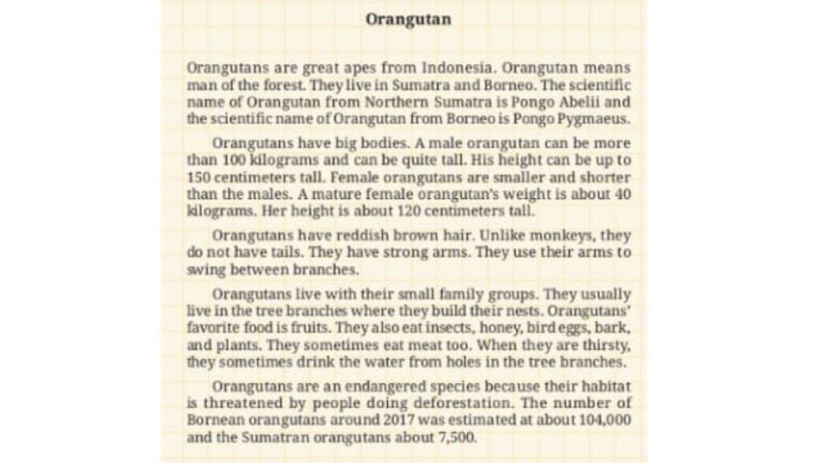 Kunci Jawaban Bahasa Inggris Kelas 9 Smp English For Nusantara