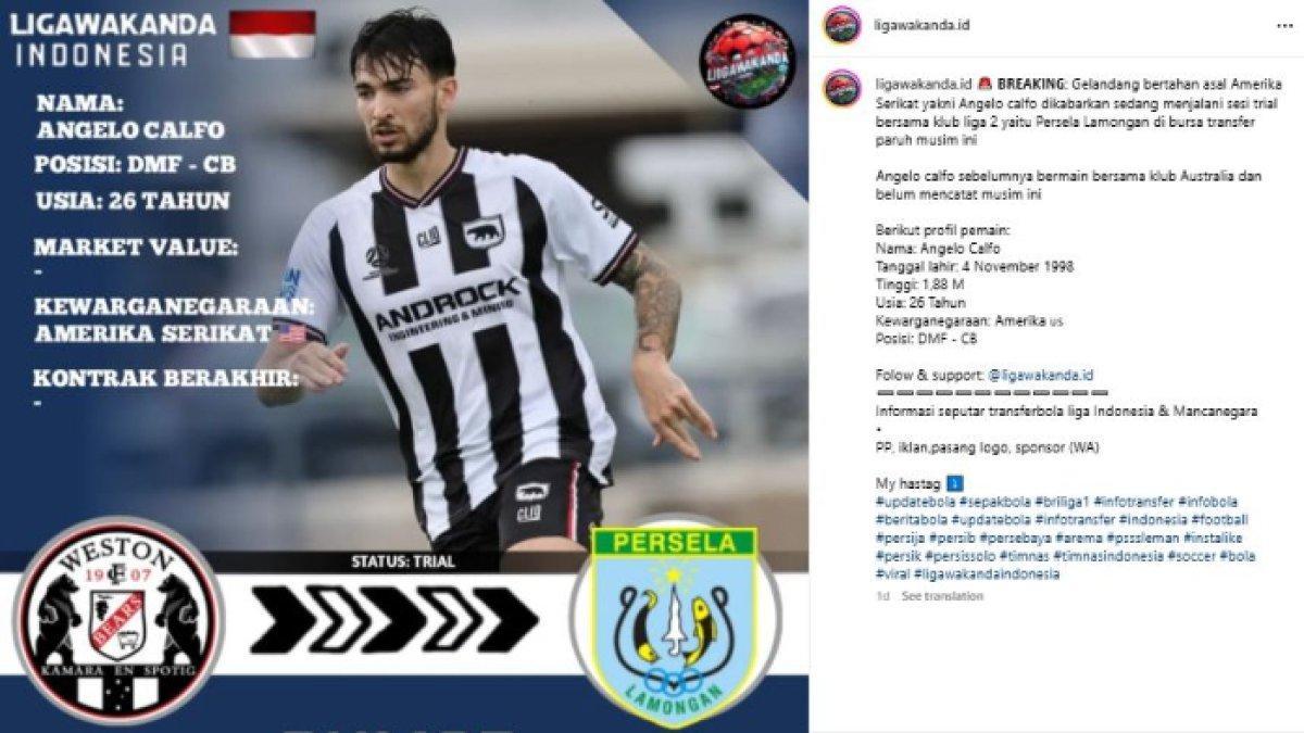 Angelo Calfo masuk ke dalam lis bidikan Persela Lamongan namun harus ikut trial terlebih dahulu untuk menetukan nasibnya.