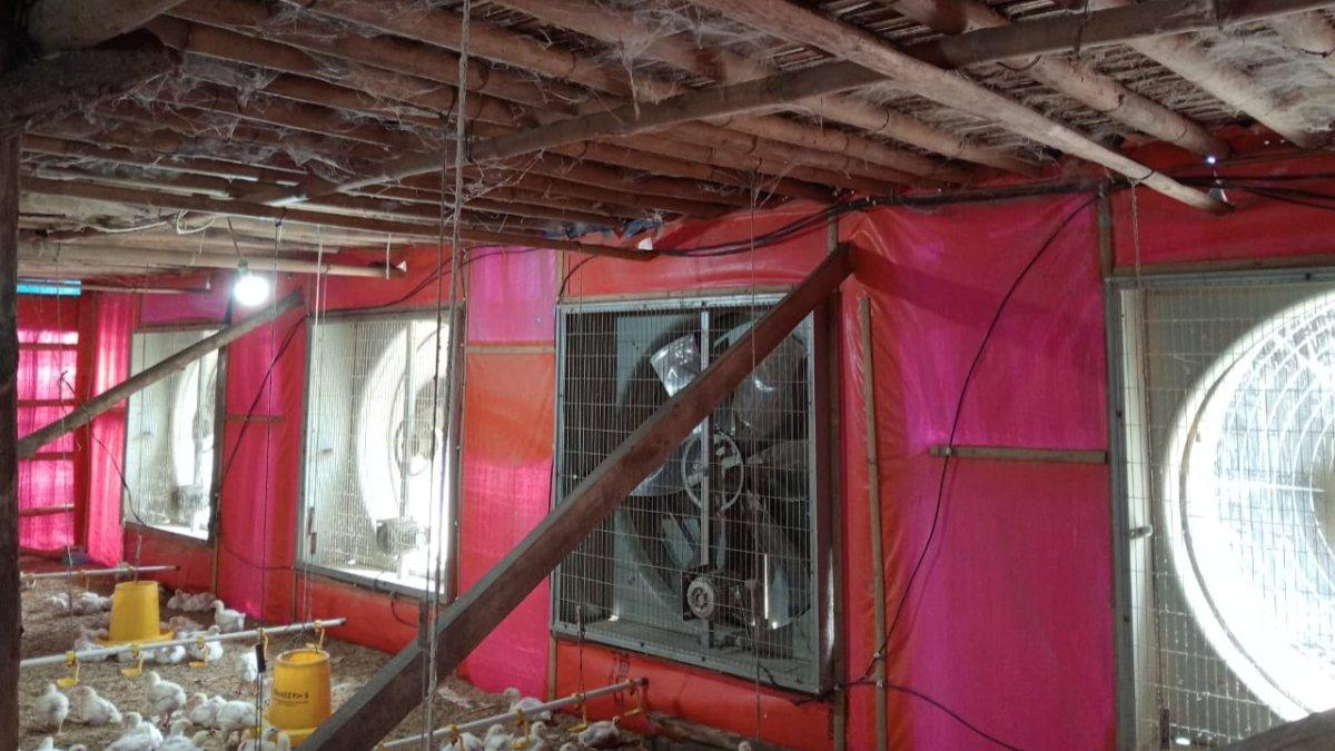 Potret Blower, alat yang digunakan untuk mengatur sirkulasi udara yang masuk ke kandang ayam.
