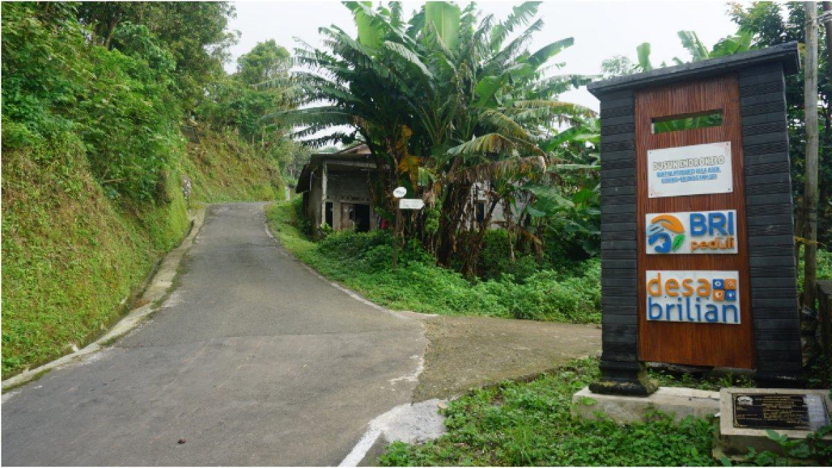 Dusun Indrokilo di Desa Lerep menjadi kampung tematik edukasi kopi hingga wisata alam bagi wisatawan yang menyukai tantangan.