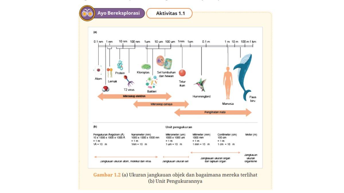 Gambar 1.2 aktivitas 1.1 halaman 5 buku Biologi untuk MA/SMA Kelas 11 kurikulum merdeka. 