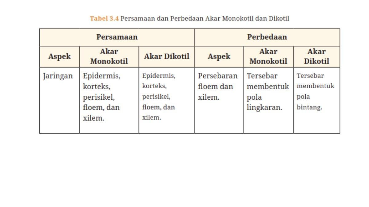 Kunci Jawaban Biologi SMA Kelas 11 Aktivitas 3.2 Halaman 63. Persamaan dan Perbedaan Daun Monokotil dan Dikotil.