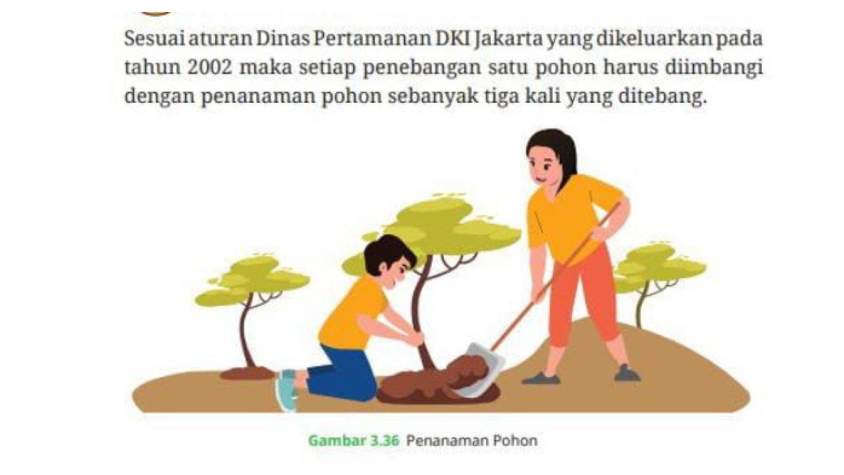 Gambar 3.36 Penanaman Pohon. Siswa mengerjakan rasio penebangan pohon