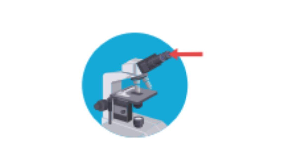 Gambar Pipet untuk soal No. 6 Bab 5 di Buku Dasar-Dasar Teknik Laboratorium Medik untuk SMK/MAK Kelas 10 Kurikulum Merdeka.