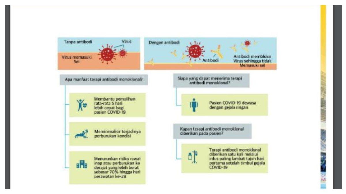 Ilustrasi foto dari soal biologi kelas 11 bab 5 halaman 165-166
