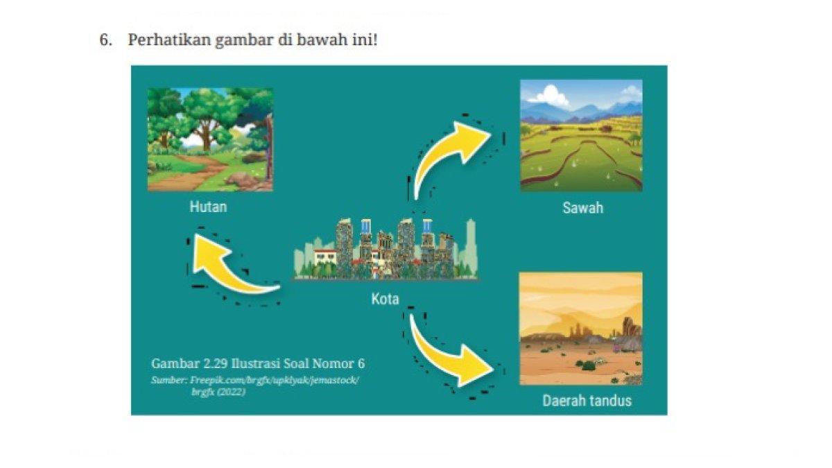 Kota dikelilingi hinterland yang berfungsi memasok kebutuhan area kota tersebut. Terbaru inilah gambar untuk menjawab soal nomor 6, diakses Kamis (13/2/2025).