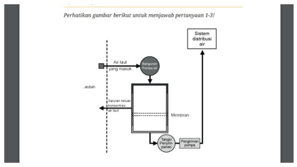Ilustrasi foto dari soal biologi kelas 11 uji kompetensi 1 BAB 2 halaman 53