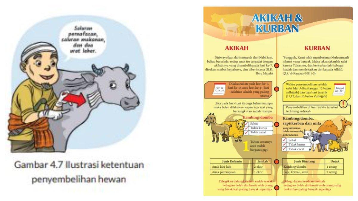 Ilustrasi ketentuan penyembelihan hewan beserta Perbedaan Akikah dan Kurban