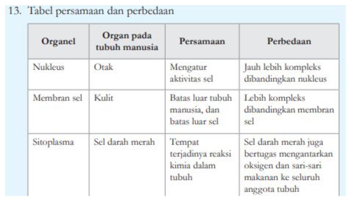 Jawaban Soal nomor 13. Jawaban soal nomor 13 berupa persamaan dan perbedaan  organel yang terdapat di dalam sel dengan organ yang ada dalam tubuh manusia halaman 25.