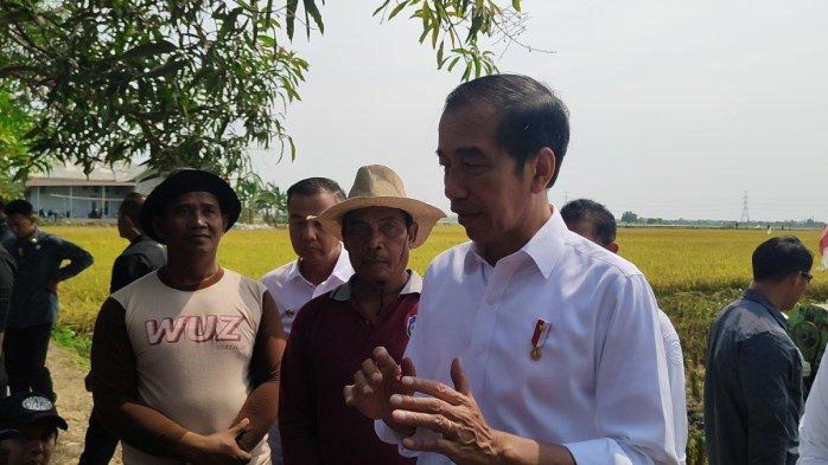 Jokowi di Indramayu 2