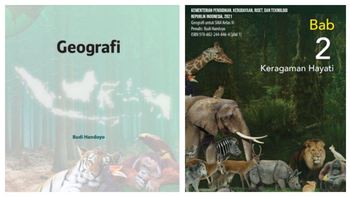 Kolase sampul Buku Geografi untuk SMA Kelas 11 Kurikulum Merdeka (kiri) dan sampul bab 2 (kanan). Berikut ini kunci jawaban soal pilihan ganda evaluasi bab 2 untuk SMA Kelas 11 Kurikulum Merdeka nomor 1-15, diakses dari laman resmi Kemdikbud pada Jumat (21/2/2025).